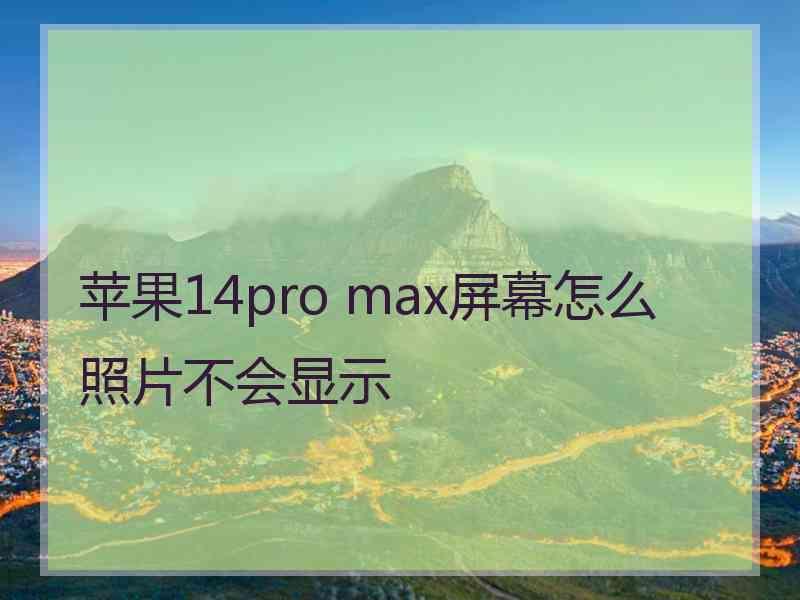 苹果14pro max屏幕怎么照片不会显示