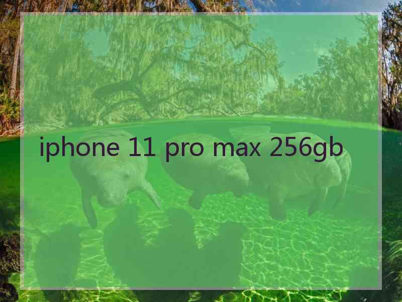 iphone 11 pro max 256gb