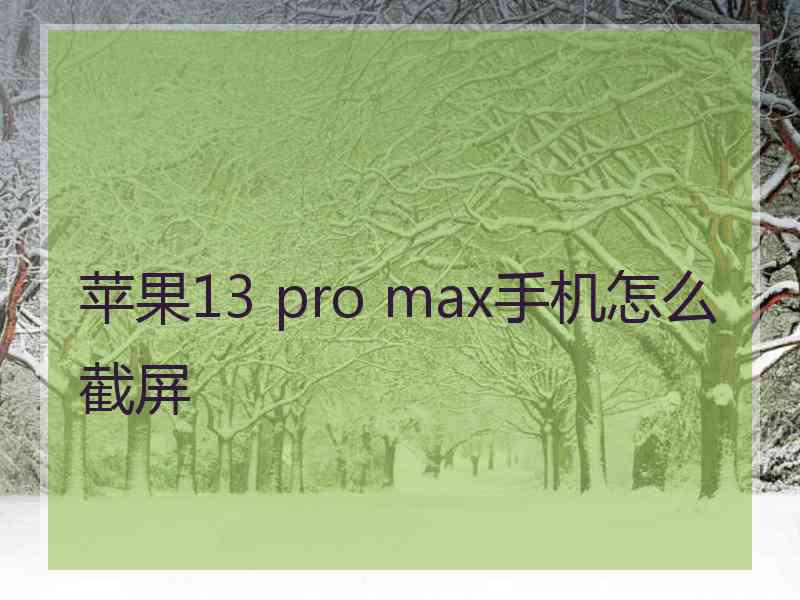 苹果13 pro max手机怎么截屏