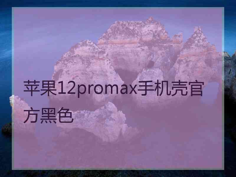 苹果12promax手机壳官方黑色