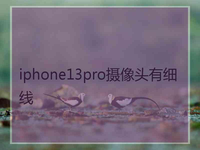 iphone13pro摄像头有细线