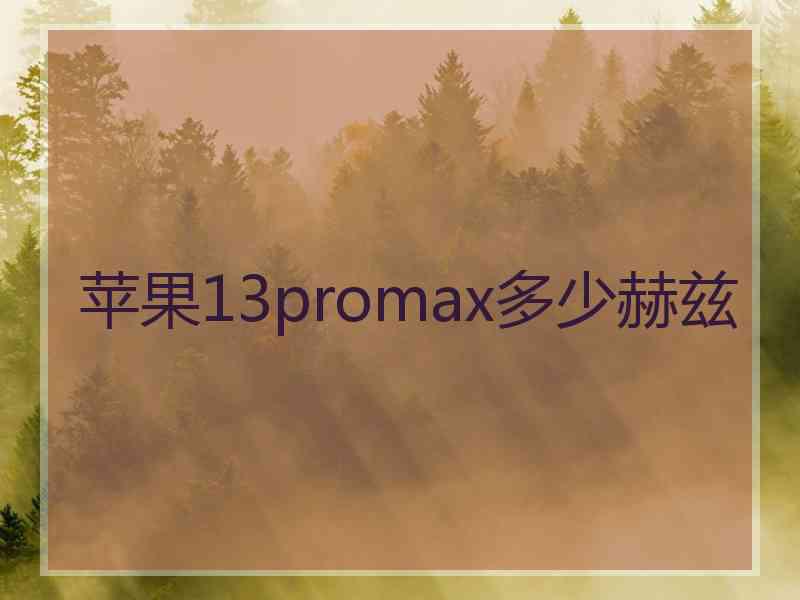 苹果13promax多少赫兹