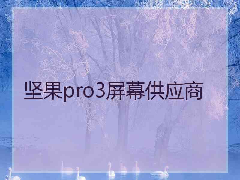 坚果pro3屏幕供应商