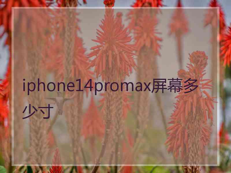 iphone14promax屏幕多少寸