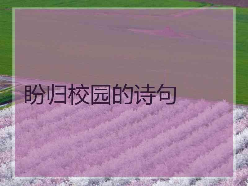 盼归校园的诗句