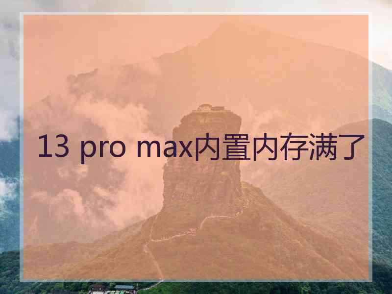 13 pro max内置内存满了