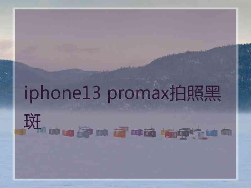 iphone13 promax拍照黑斑