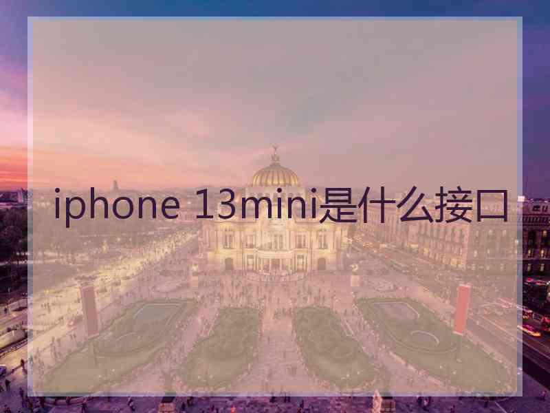 iphone 13mini是什么接口