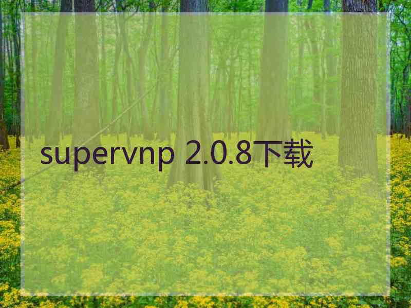 supervnp 2.0.8下载