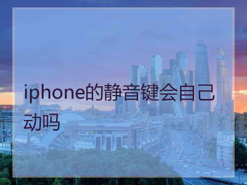 iphone的静音键会自己动吗