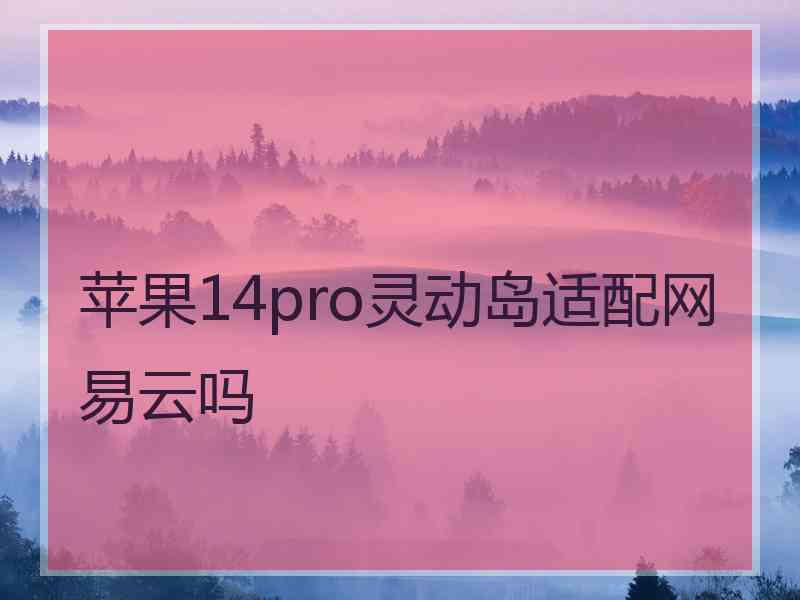 苹果14pro灵动岛适配网易云吗