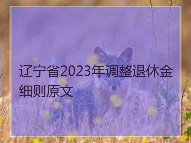 辽宁省2023年调整退休金细则原文