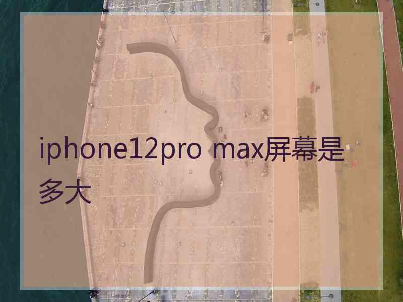 iphone12pro max屏幕是多大