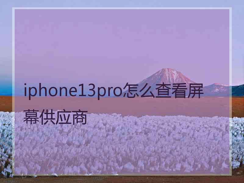 iphone13pro怎么查看屏幕供应商