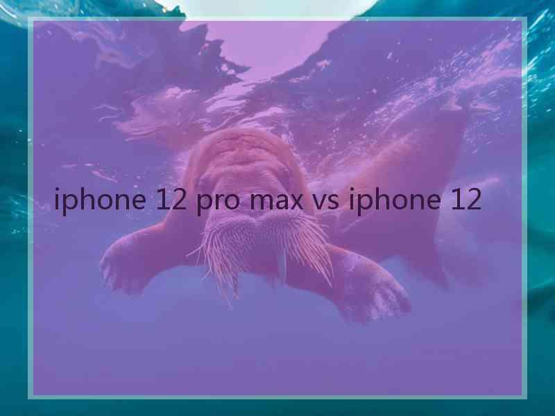 iphone 12 pro max vs iphone 12