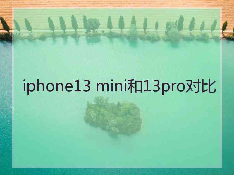 iphone13 mini和13pro对比