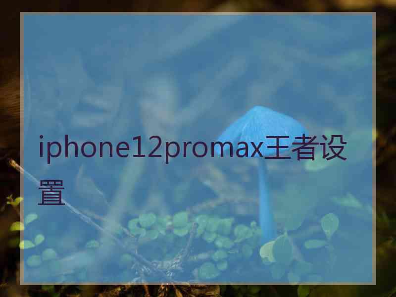 iphone12promax王者设置