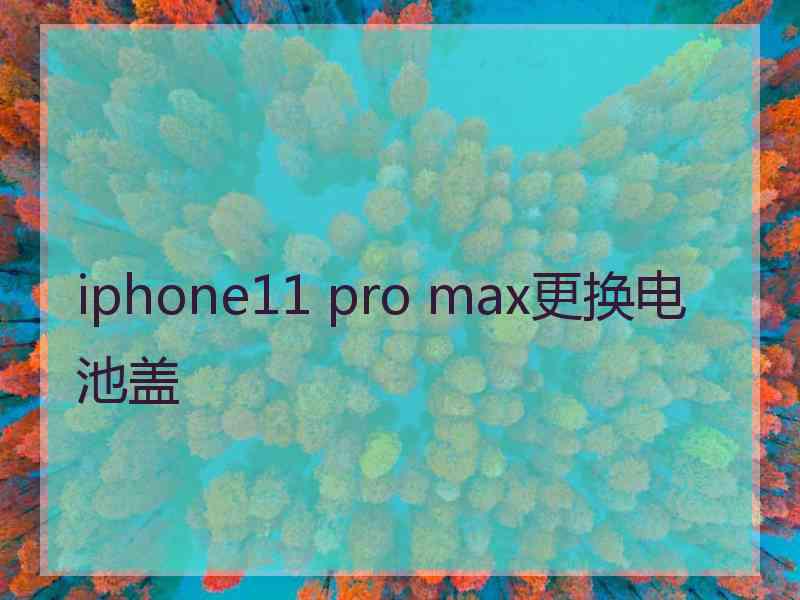 iphone11 pro max更换电池盖