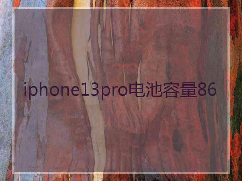 iphone13pro电池容量86