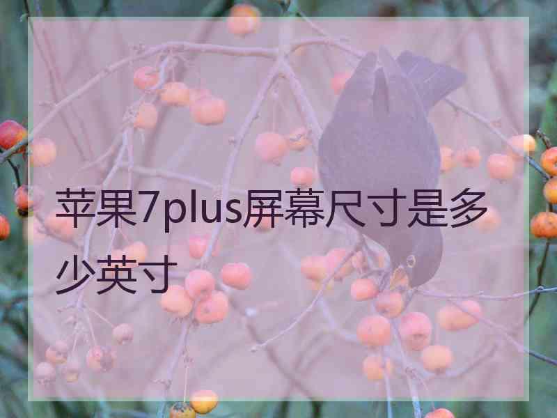 苹果7plus屏幕尺寸是多少英寸