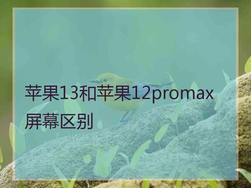 苹果13和苹果12promax屏幕区别