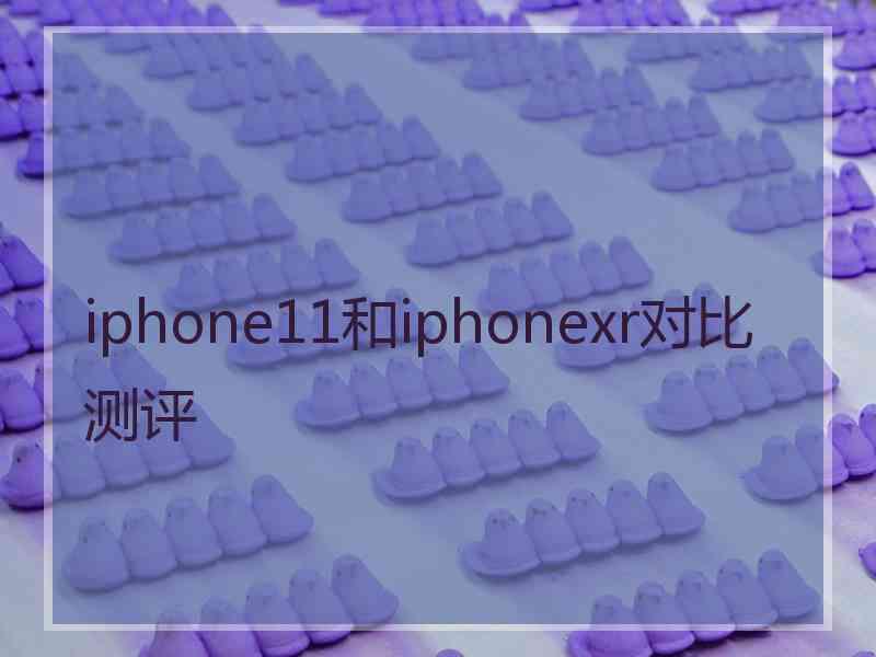 iphone11和iphonexr对比测评