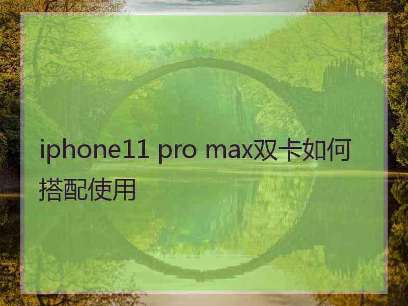 iphone11 pro max双卡如何搭配使用