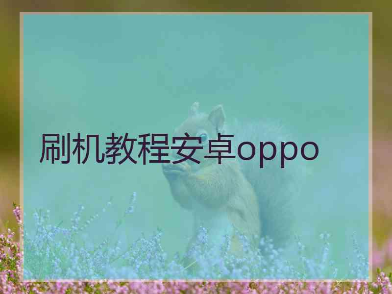 刷机教程安卓oppo