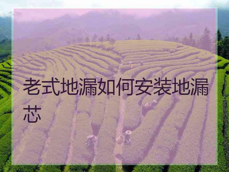 老式地漏如何安装地漏芯