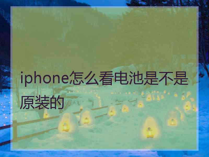 iphone怎么看电池是不是原装的