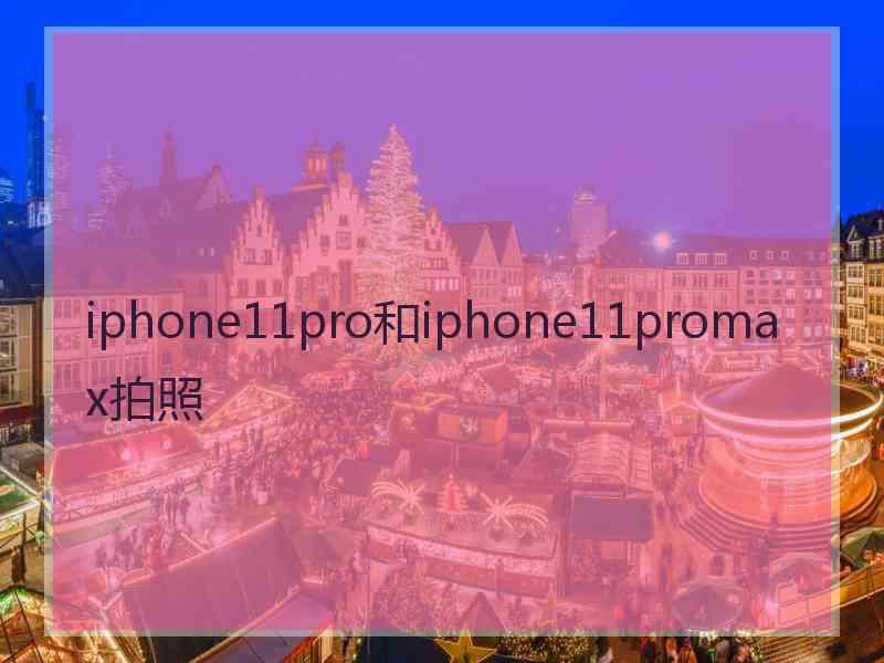 iphone11pro和iphone11promax拍照