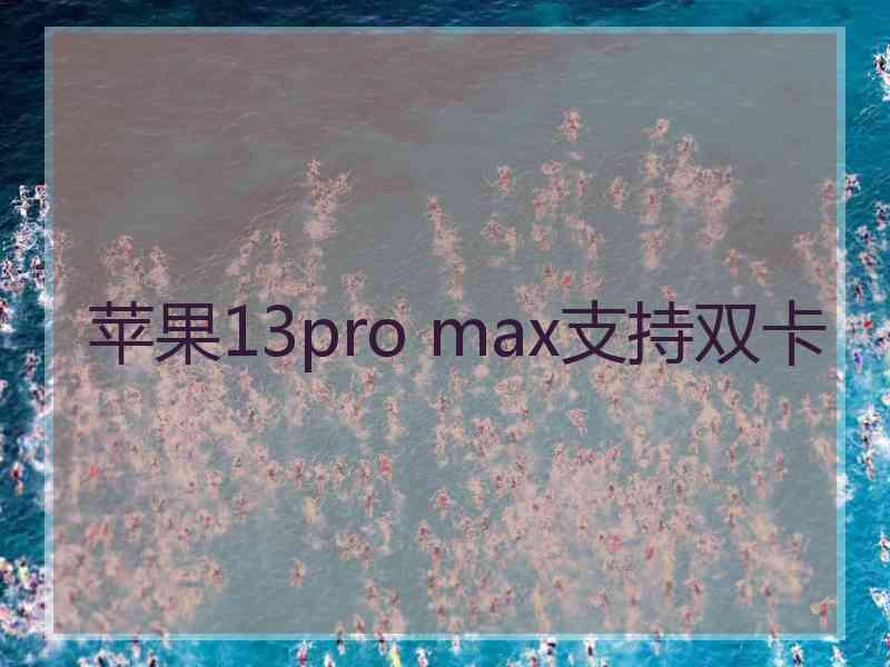 苹果13pro max支持双卡