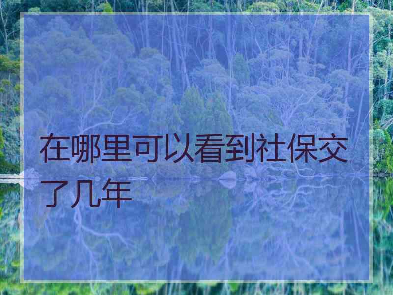 在哪里可以看到社保交了几年