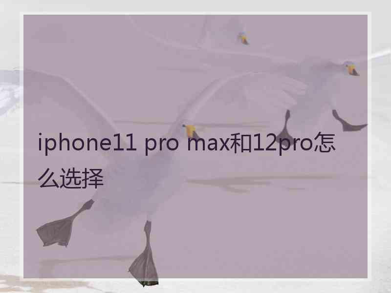 iphone11 pro max和12pro怎么选择