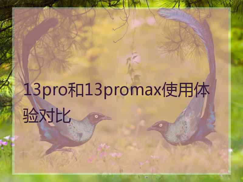 13pro和13promax使用体验对比