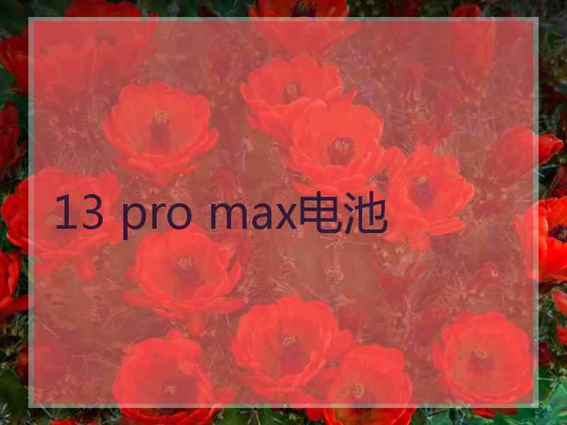 13 pro max电池