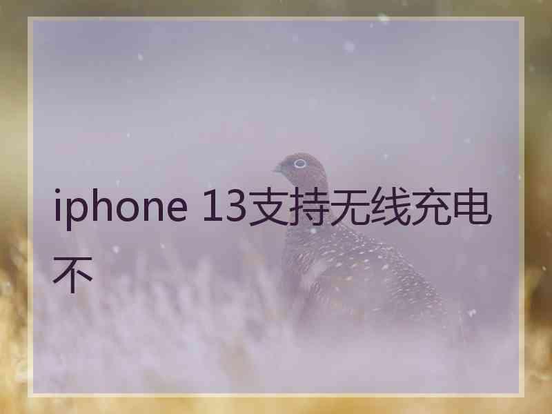 iphone 13支持无线充电不