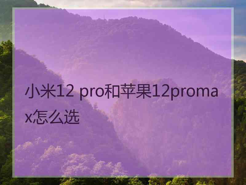 小米12 pro和苹果12promax怎么选