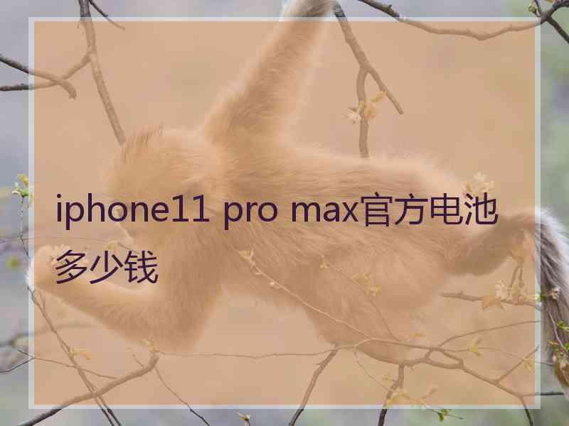 iphone11 pro max官方电池多少钱