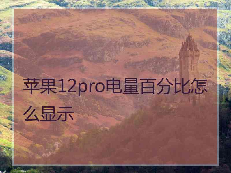 苹果12pro电量百分比怎么显示