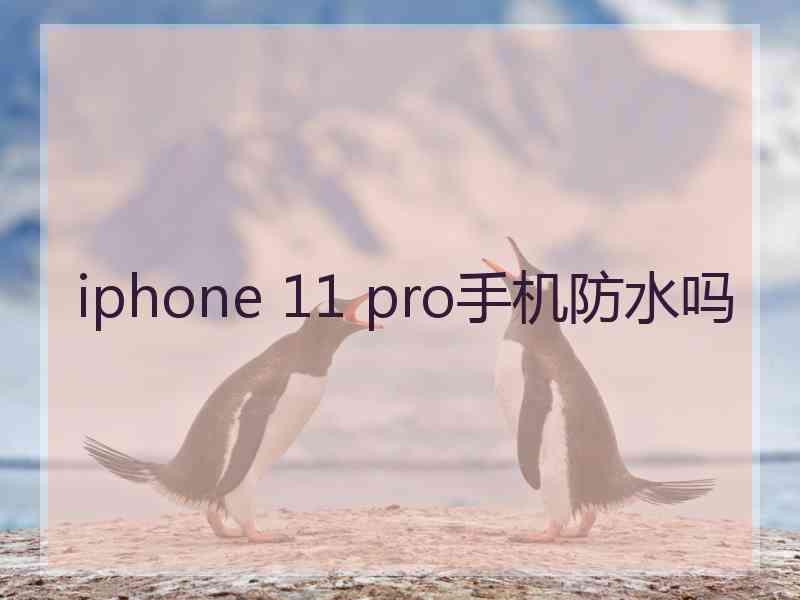 iphone 11 pro手机防水吗