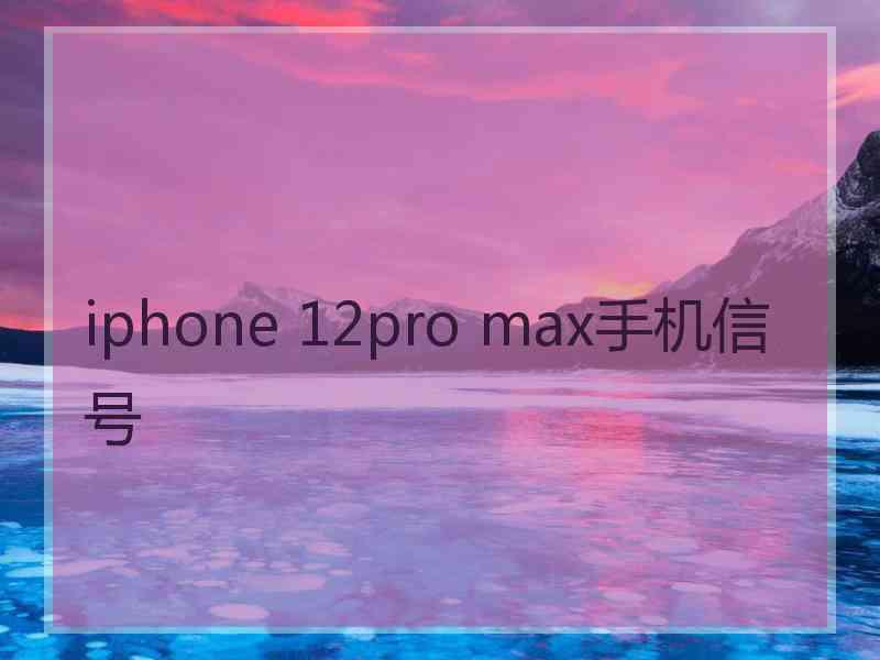 iphone 12pro max手机信号