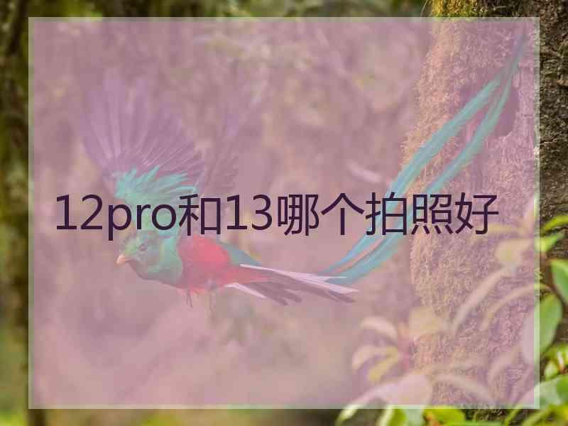 12pro和13哪个拍照好