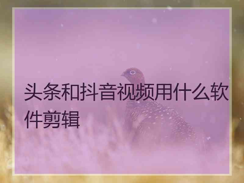 头条和抖音视频用什么软件剪辑