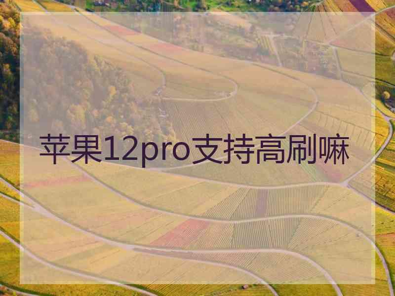 苹果12pro支持高刷嘛