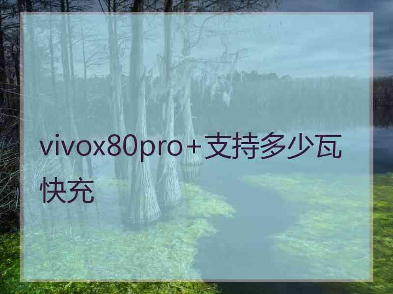 vivox80pro+支持多少瓦快充