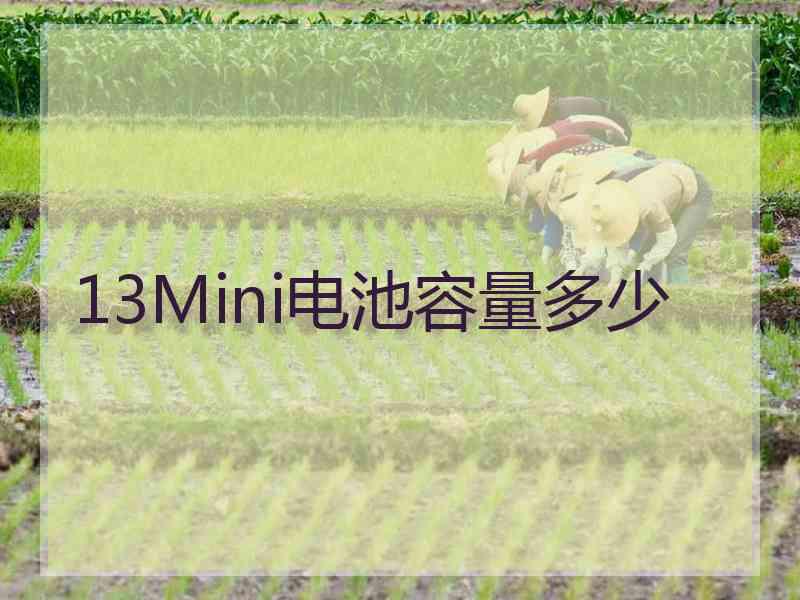 13Mini电池容量多少