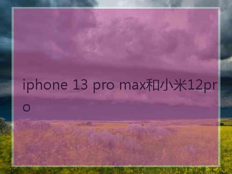 iphone 13 pro max和小米12pro