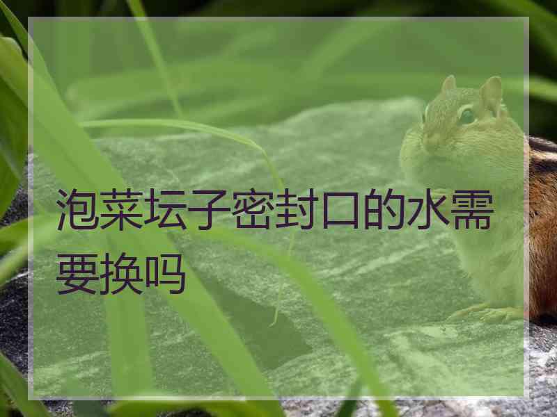 泡菜坛子密封口的水需要换吗