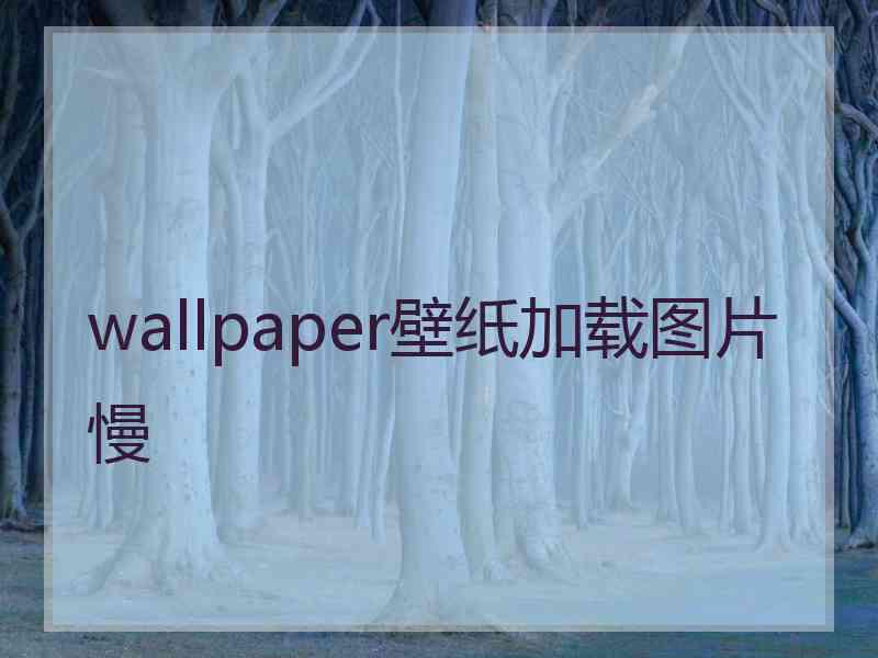 wallpaper壁纸加载图片慢